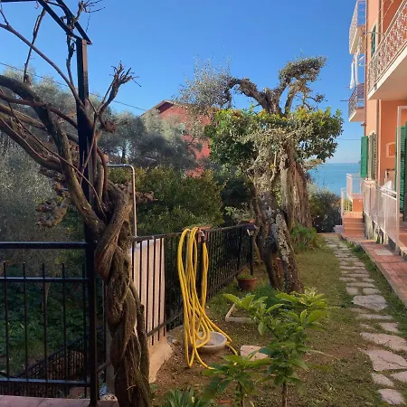 La Cicala, *